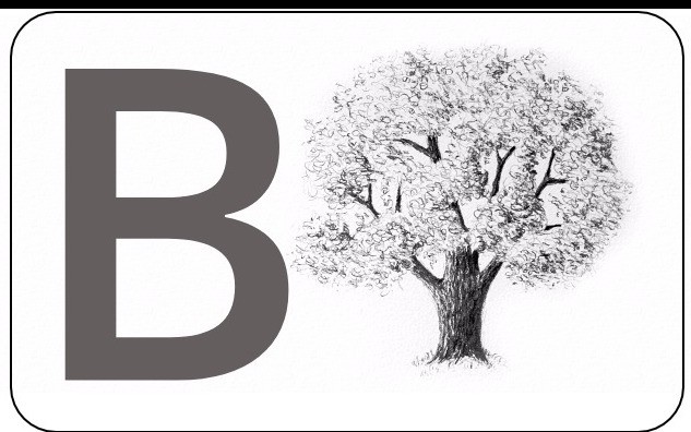 QnA VBage SQLite Database B-tree Indexing