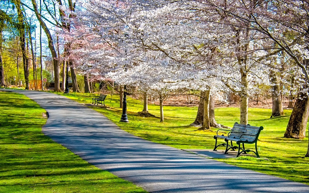 OAuth2 for Spring RESTful API - DZone Java - Vimarsana News