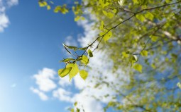 Spring Cloud: How to Implement Service Discovery (Part 1) - Vimarsana News