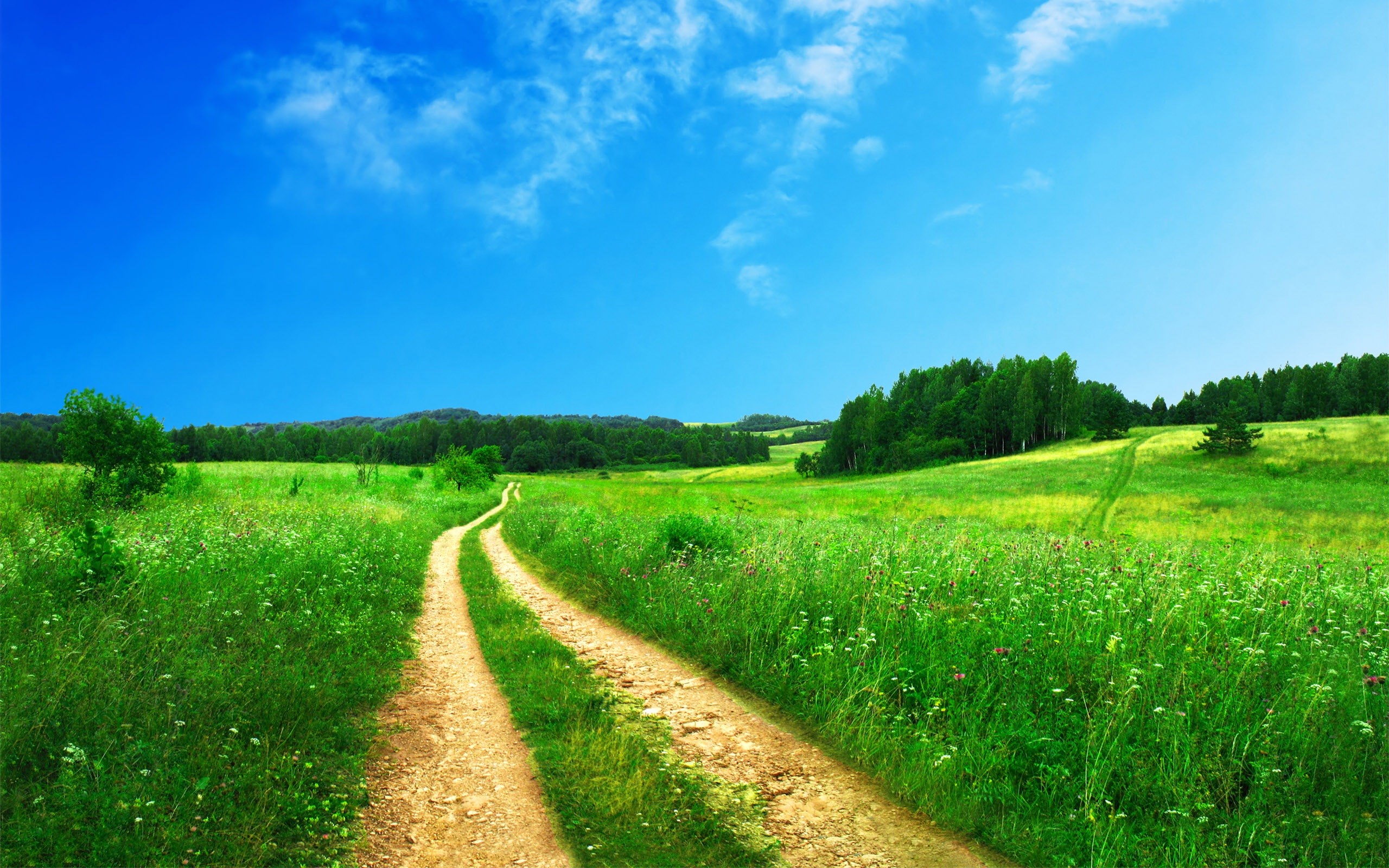 June in Security: Hacking Tools, Hygiene, and Spring Security - Vimarsana News