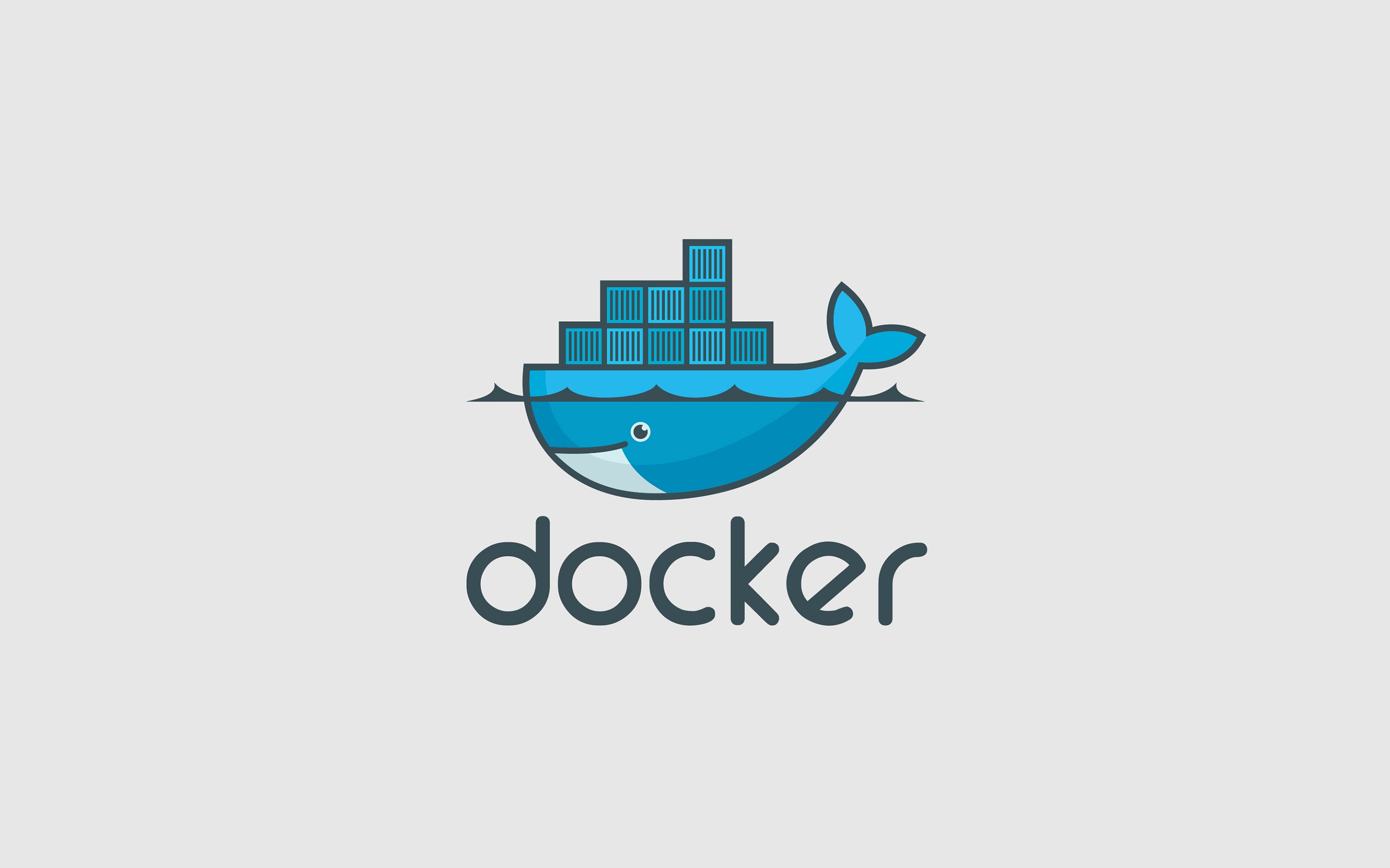 Why Docker?