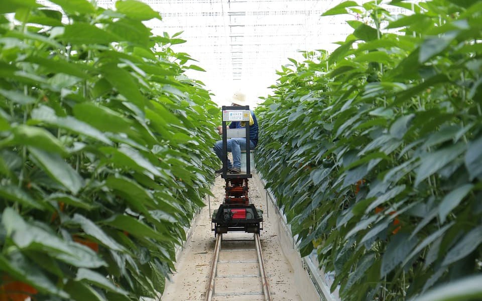 Iot In Agriculture Five Technology Uses For Smart Farming And