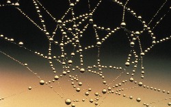 Making Java Microservices Zing with Azul Zing