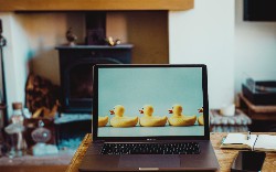 Remote Work and What It Means for the Future of Network Architecture