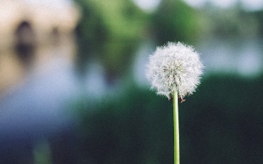 Fact or Fiction? The Truth About Saas Adoption, Data Loss, and More!...