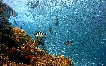 Continuous Delivery Solutions Directory