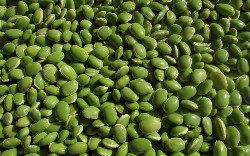 Defining Bean Dependencies With Java Config in Spring Framework