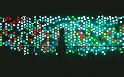 Create Brand Advocates through Support